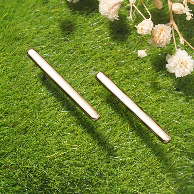 Pendientes Barra Larga
