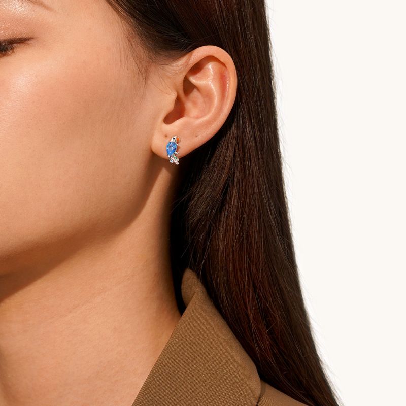 Pendientes Loro