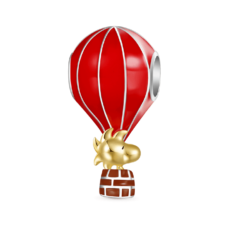 Encantamiento del Paseo en Globo Aerostático de Woodstock