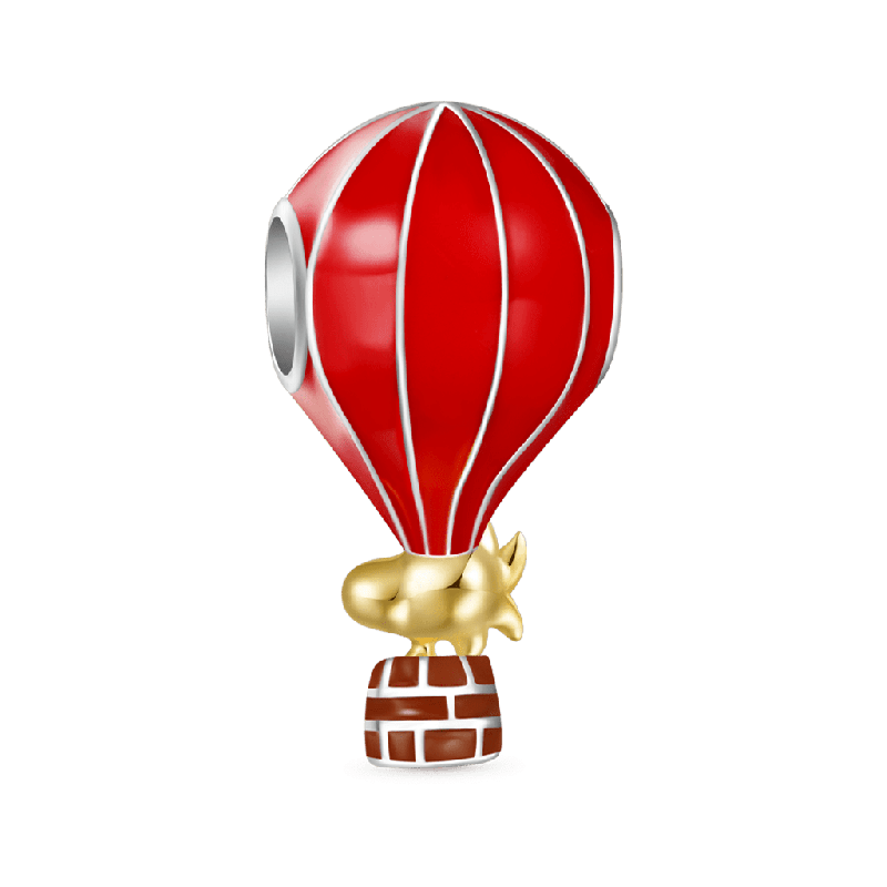 Encantamiento del Paseo en Globo Aerostático de Woodstock