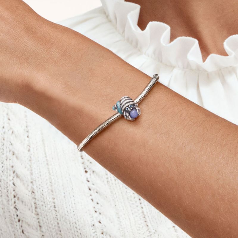 Charm Cangrejo Ermitaño