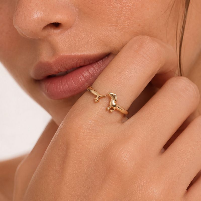Anillo de Perro Dachshund