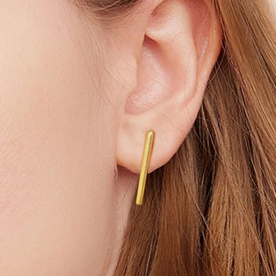 Pendientes Barra Larga