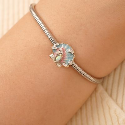 Charm Concha de Fantasía