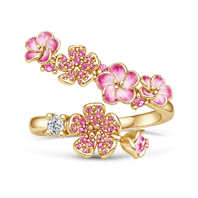 Anillo de Flores Rosas